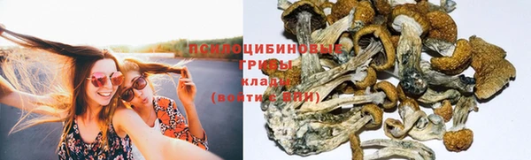 mdpv Зеленодольск