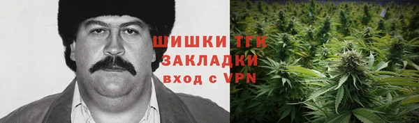 прущие крисы Аркадак