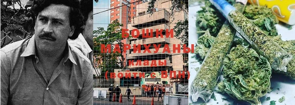 прущие крисы Аркадак