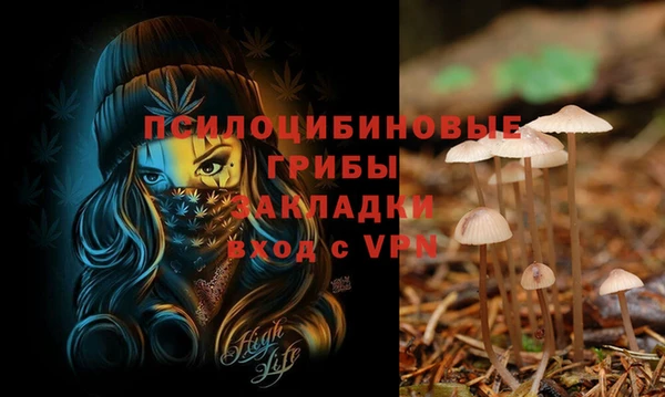 прущие крисы Аркадак