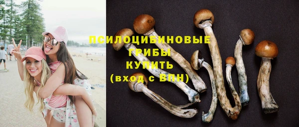 прущие крисы Аркадак